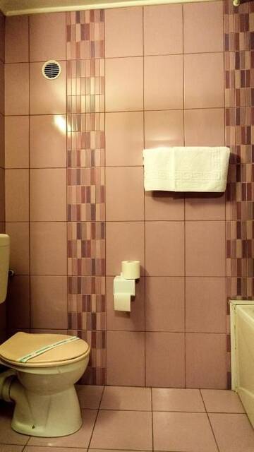 Фото номера Двухместный номер с 1 кроватью Отель Hotel Dacor г. Орэштие 20